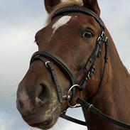 DSP Indian Sky - solgt