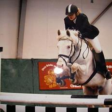 Anden særlig race unicorn(solgt)