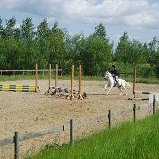 Welsh Mountain (sec A) Patrick Swayze