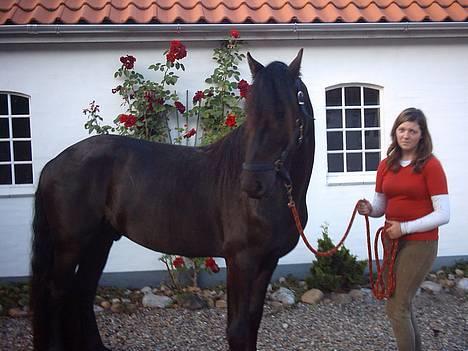 Frieser Jetse billede 10