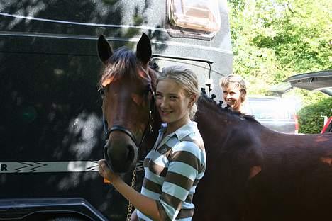 New Forest Smedhults Zippa  - Lidt hygge efter stævnet.... billede 13