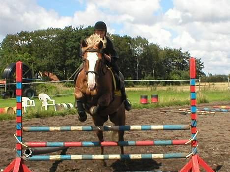 Haflinger Patrick - Ved ikk lige helt hvad vi springer her men nok omkring 75 cm. - 85 cm.. hehe..  (mig der rider) billede 10