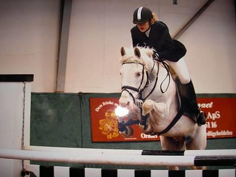 Anden særlig race unicorn(solgt) - Unicorn´s salgsbillede billede 1