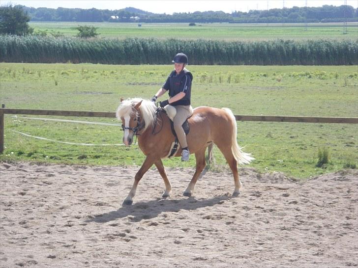Haflinger Alexandra - rideundervisning 18 juli 2010 billede 2