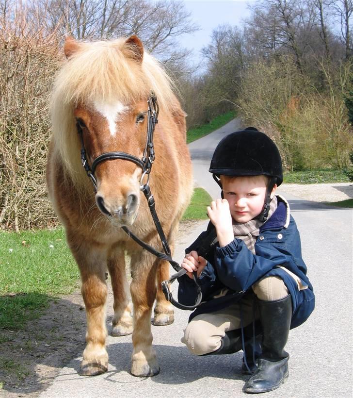 Shetlænder Sanne Bomlund  - Sanne og min bror på tur billede 7