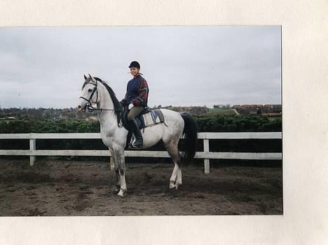 Arabisk fuldblod (OX) Aliman OX R.I.P. - Aliman med Bibi i 1997. Der var han 9 år gammel billede 2