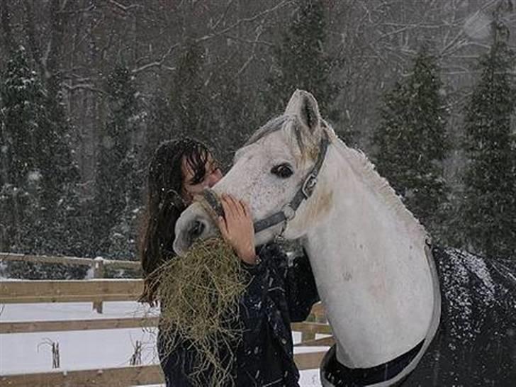 Connemara Jolly Jumper *SOLGT* - Kys i Januar :I <3 billede 2