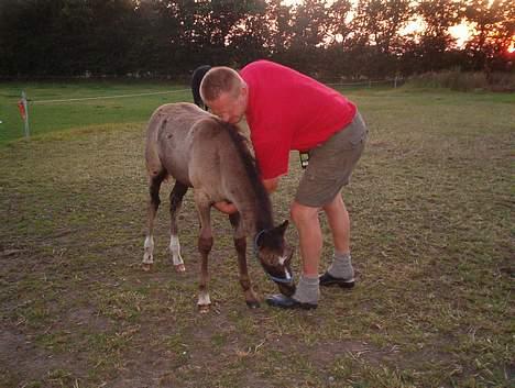 DSP Ahorns Top Way billede 15