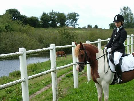 Pinto Mikki - Diernæs . Rigtig smuk udsigt :P billede 2