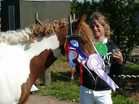 Pinto Mikki - Vantinge . Første stævne hvor jeg sån rigtig vandt noget ! billede 7