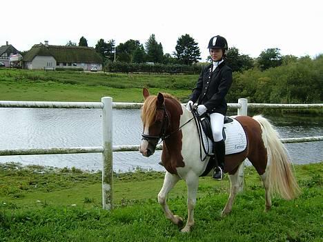 Pinto Mikki - Tager lige et billede :P billede 8