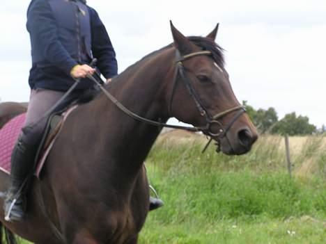 Anden særlig race Unik *DØD*  - Mit smukk hoved ;D billede 4
