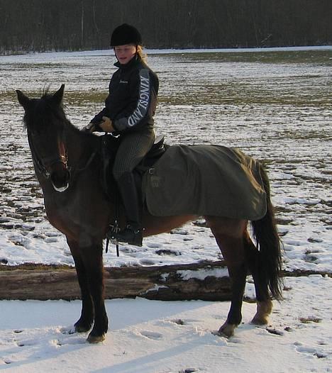 New Forest Elmholts Odessa SOLGT - Uhh. Det er vinter billede 10