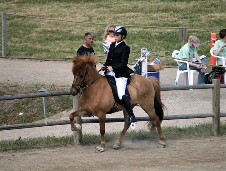 Islænder Landi fra Mols Bjerge - Landi og Caroline - arb. tølt 2010 billede 3