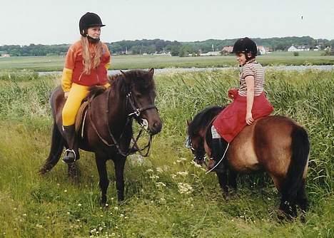 Islænder Hrafntinna fra Hejelte - Rappen på ridetur med sin ven Silja billede 12