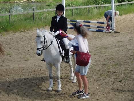 Welsh Mountain (sec A) Patrick Swayze - Swayze og mig.. vi modtager en roset ! billede 3