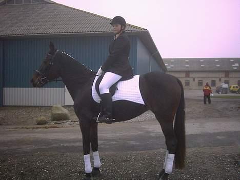 Traver Pixie Harvester R.I.P billede 7