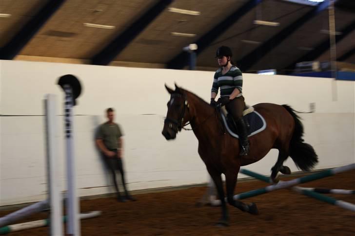 Dansk Varmblod Rozitta (Solgt) - Første springtræning på Grindsted landbrugsskole billede 3