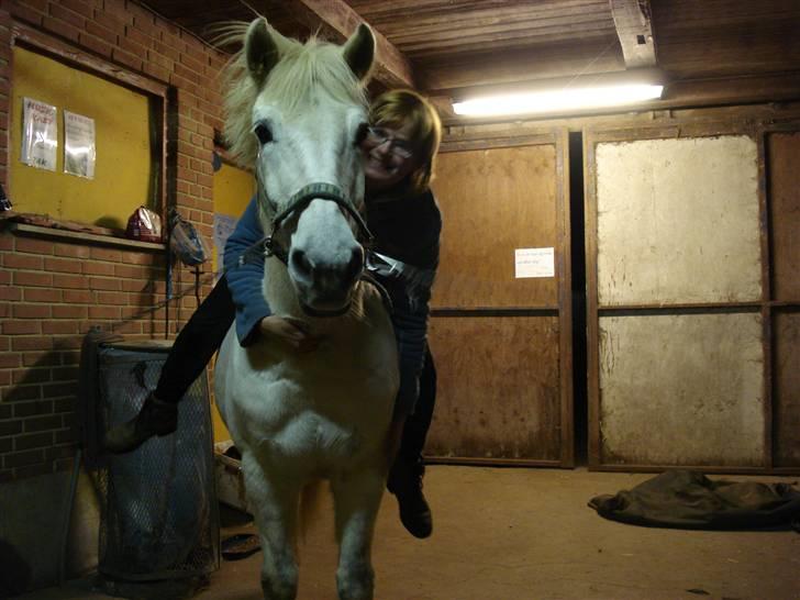 Anden særlig race Surprise - lille knuser til min elskede pony billede 13