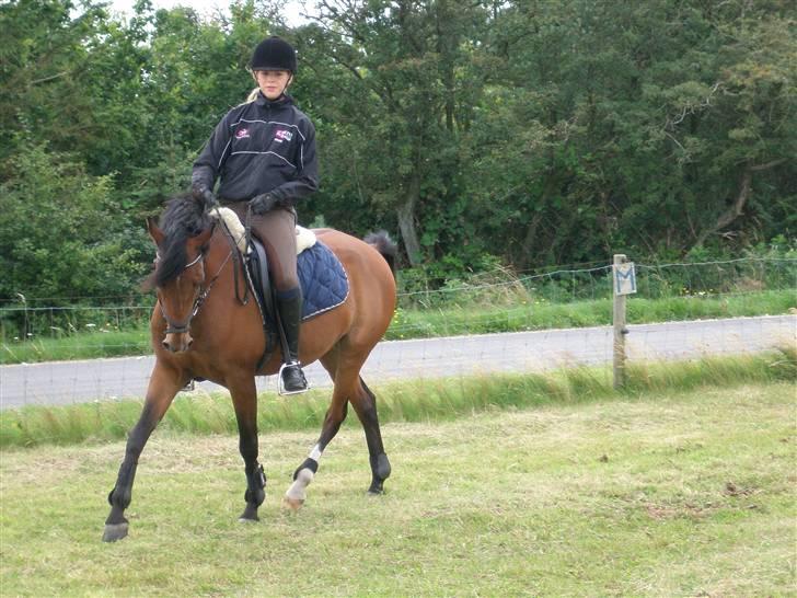 Anden særlig race Linaro - træning august 2007 billede 19