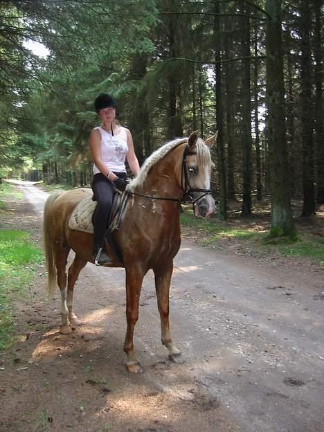 Palomino Soles Amigo - en meget svedig amigo ude i skoven sammen med min veninde nina:P billede 13