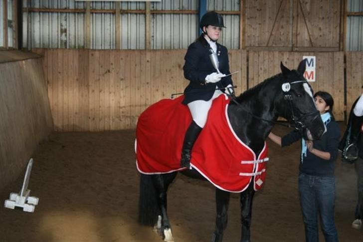 Dansk Varmblod June - Klubmester i Bramming 2008 i springning billede 12