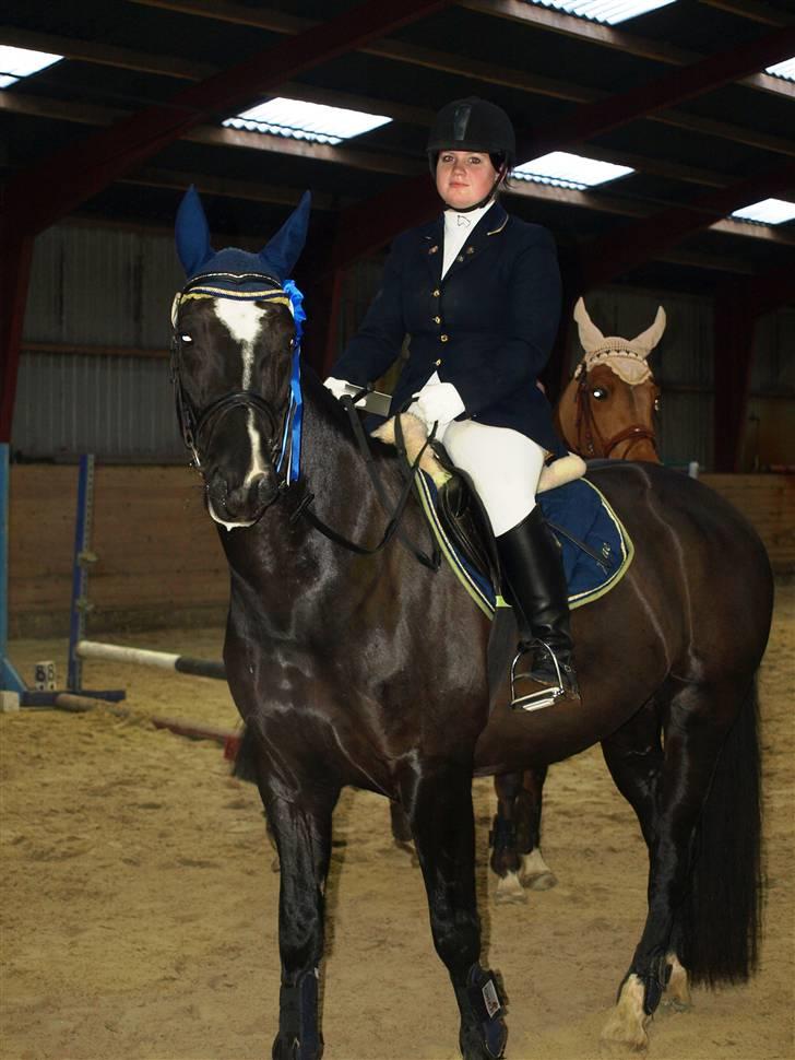 Dansk Varmblod June - 2. plads i LB i Tobøl billede 8