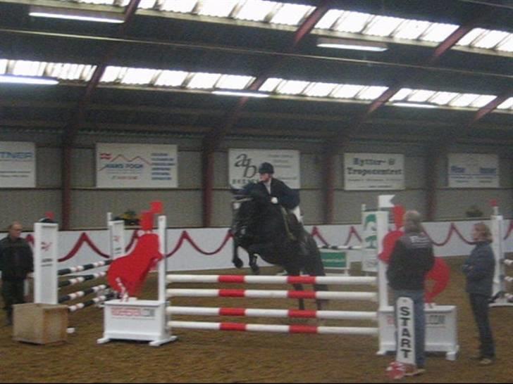 Dansk Varmblod June - C-stævne i Hammelev LC 0 fejl billede 14