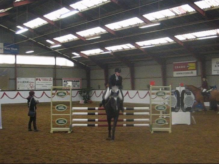 Dansk Varmblod June - C-stævne i Hammelev LC 0 fejl billede 15