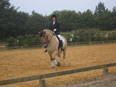 Fjordhest Claus - aflivet okt.07 - Stævne i blåvandshuk (Malene er fotograf) 2. plads i LC2 og 3. plads i LC3 billede 20