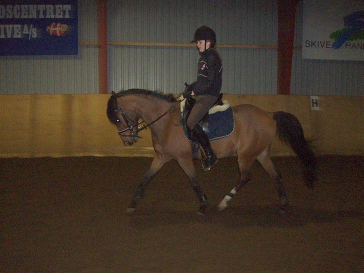 Anden særlig race Linaro - Træning hjemme :) februar 2007 billede 20