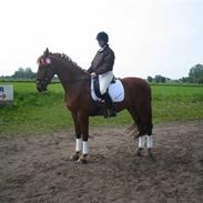 Frederiksborg Charmeur