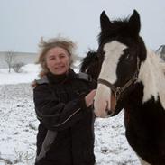 Pinto Svanemosegårds Unick