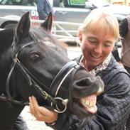 Anden særlig race Mango (solgt) 