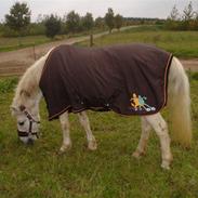 Anden særlig race »Quickstep-