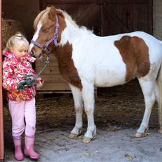 Anden særlig race lille john ¤solgt¤