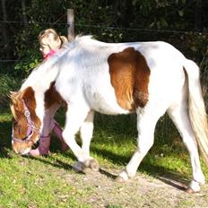 Anden særlig race lille john ¤solgt¤