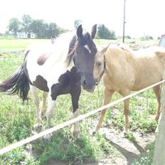 Barockpinto La Santa