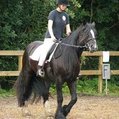 Tinker Shenannigan (Smulder)