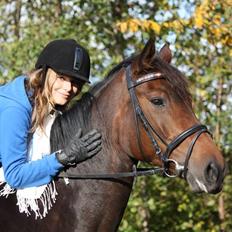 Dansk Varmblod Magic Charity *R.I.P*