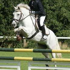 New Forest Odbjergs Batik