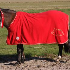 Anden særlig race | Forza Maldini | *UDLÅNT*