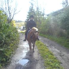 Anden særlig race pippi<3