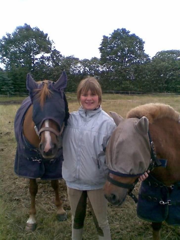 New Forest Sunshine - sunshine sammen med hendes bedste ven susie solskin, sommeren 2007. billede 3