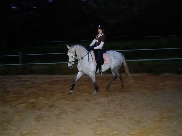 Anden særlig race Miss behaven<3 - Første udendørs træning billede 3