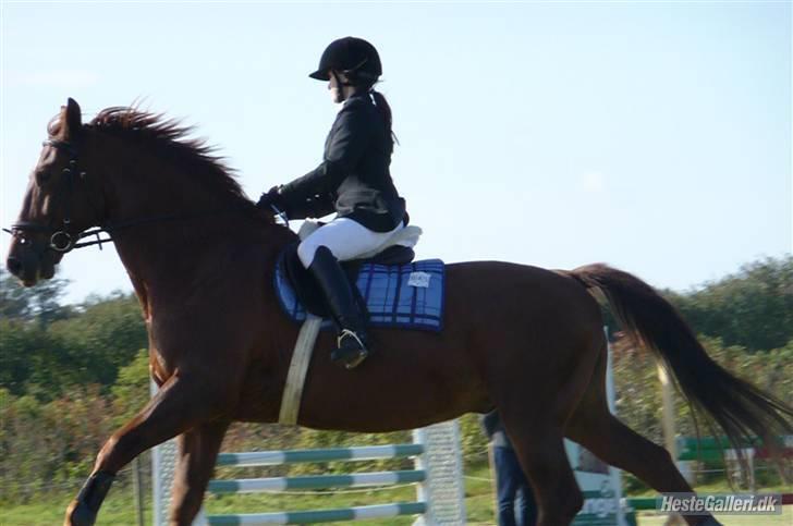 Oldenborg Alextho [Mors] - Hvor ser jeg lille ud der oppe :p billede 20