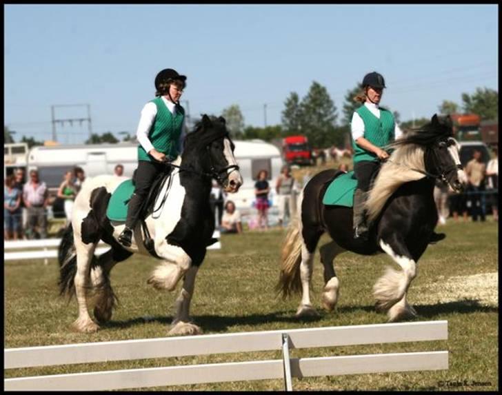 Tinker Guldagers Lady riah conte billede 8