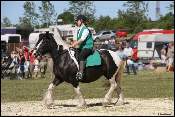 Tinker Guldagers Lady riah conte billede 9