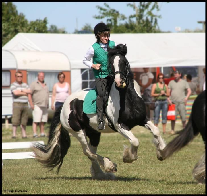 Tinker Guldagers Enya billede 1