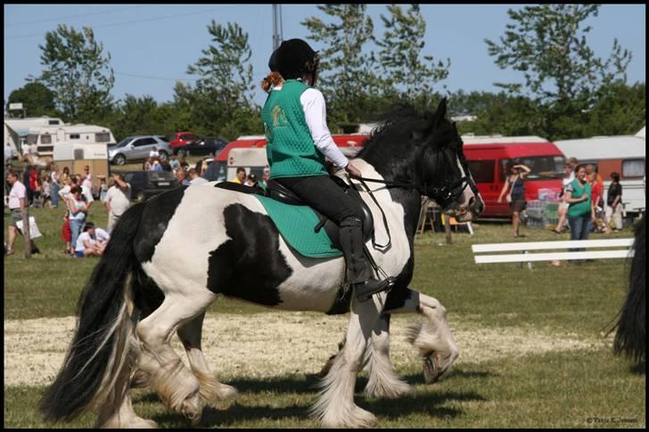 Tinker Guldagers Enya billede 2